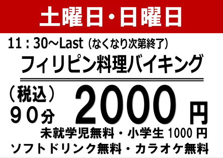 埼玉 川越 南大塚 フィリピン料理 カラオケ スナック バイキング VIKING 食べ放題 Lyns リンズ